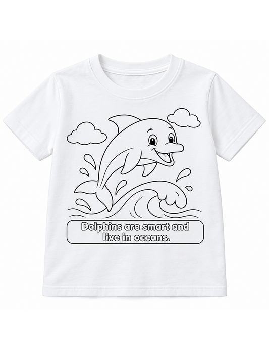 Dolphin + Waves
