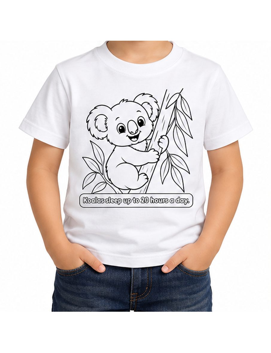 Koala + Euqalyptus
