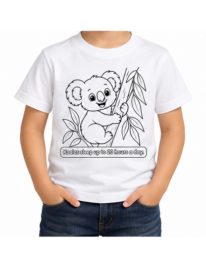 Koala + Euqalyptus