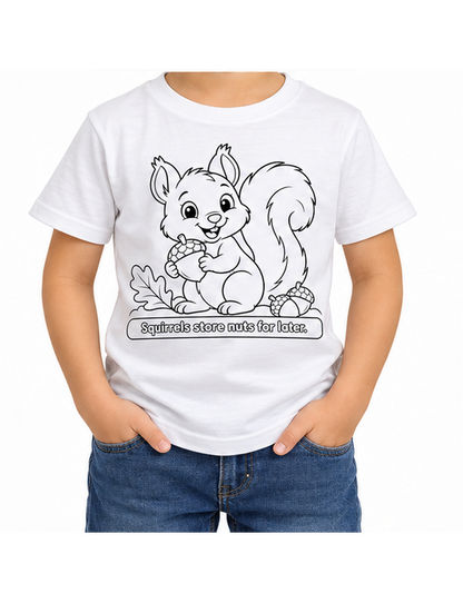 Squirrel + Acron